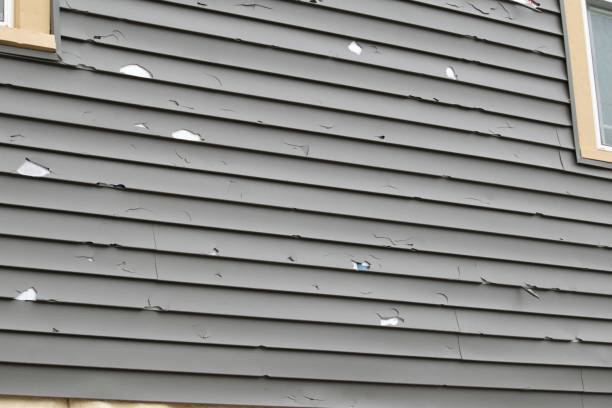 Best Fascia and Soffit Installation  in Ashley, OH