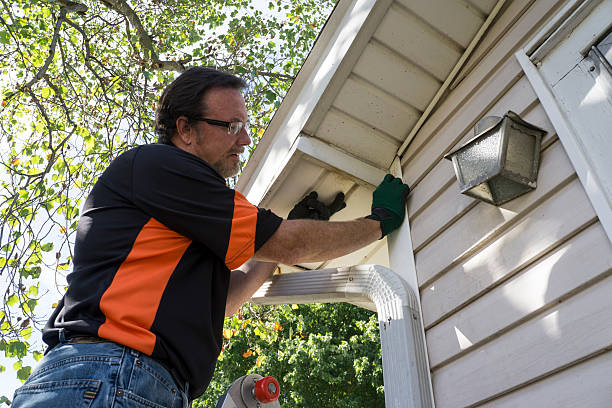 Best Insulated Siding Installation  in Ashley, OH